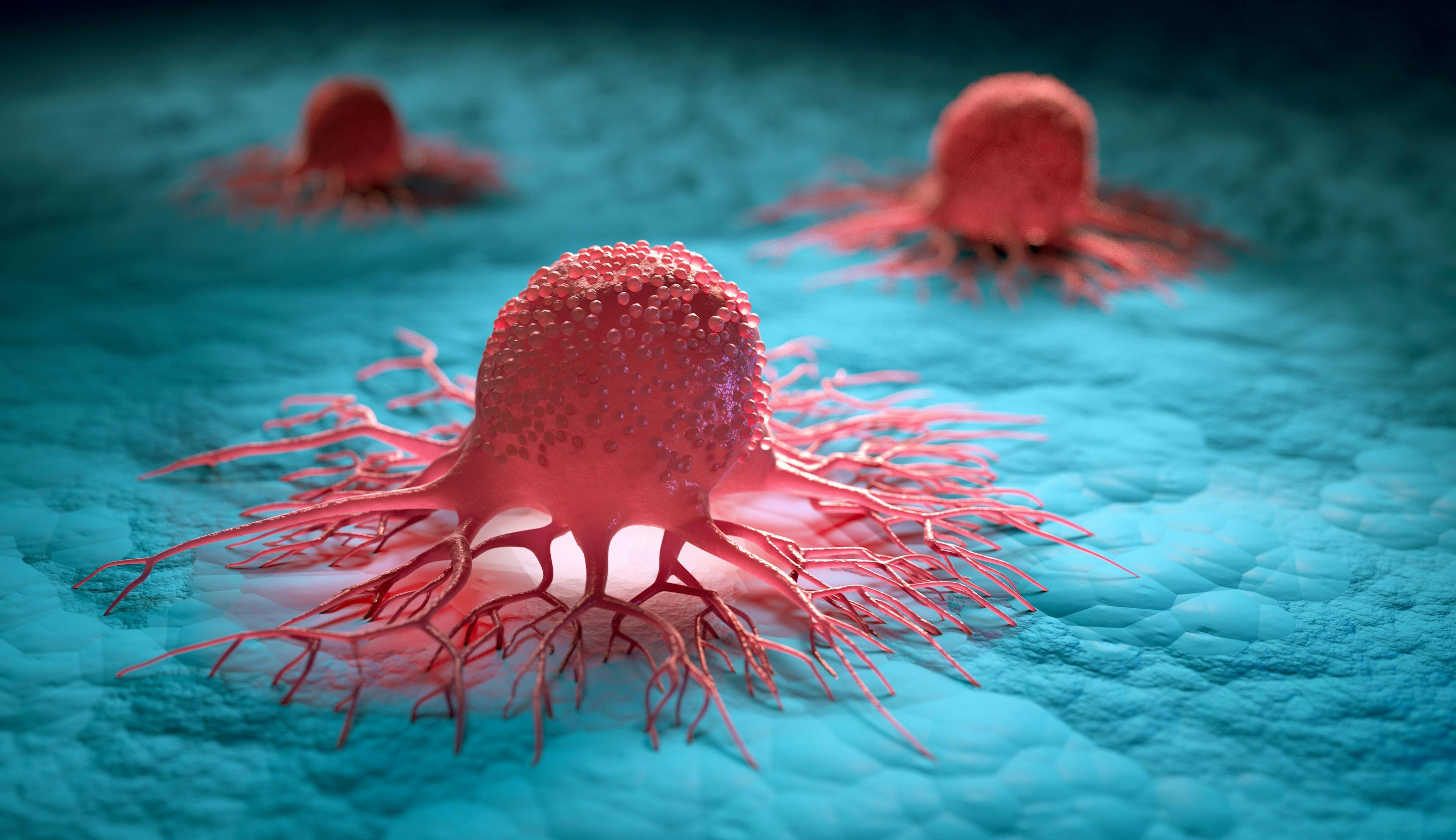 Cancer cells | Image credit: © peterschreiber.media - Adobe Stock