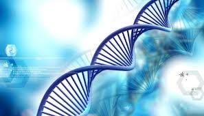 DNA image oncology
