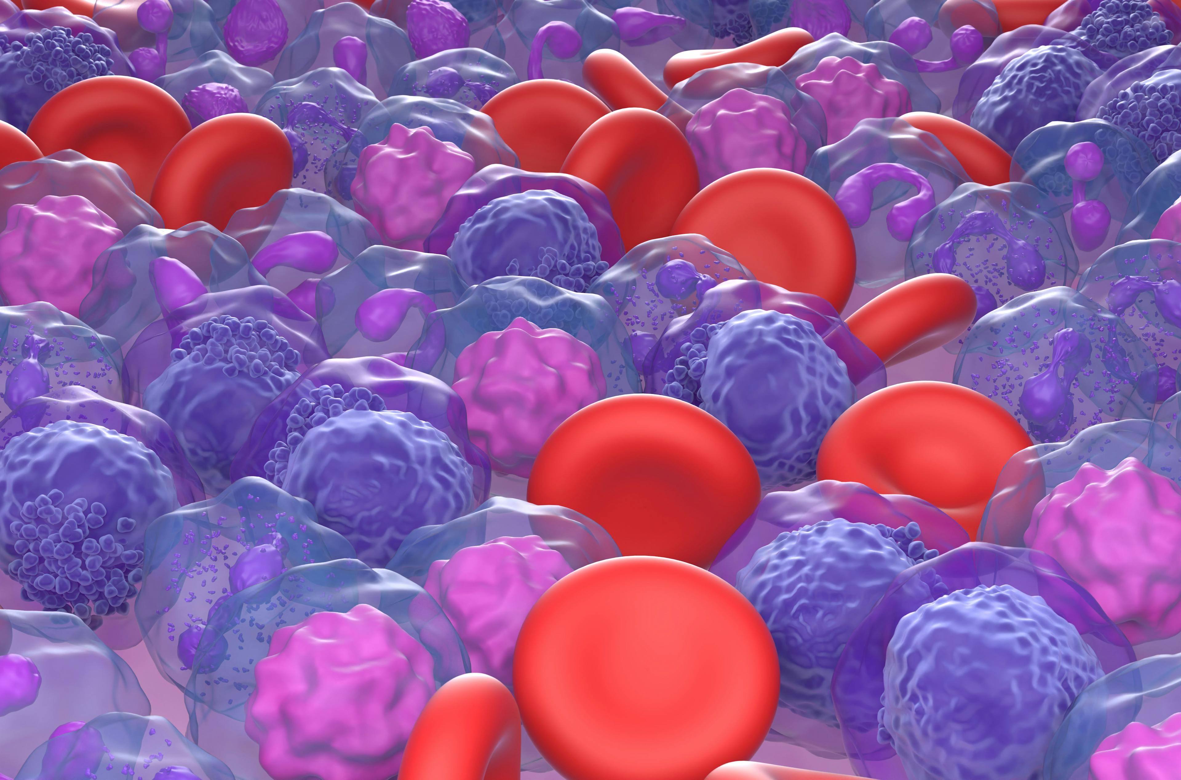 AML [Acute myeloid leukemia (AML) cells field - closeup view 3d illustration] | [LASZLO] © stock.adobe.com