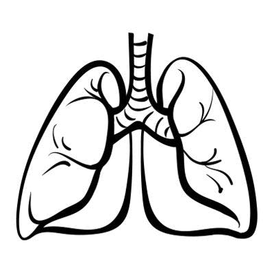 Future Lung Cancer Research Requires a Precision Medicine Ecosystem