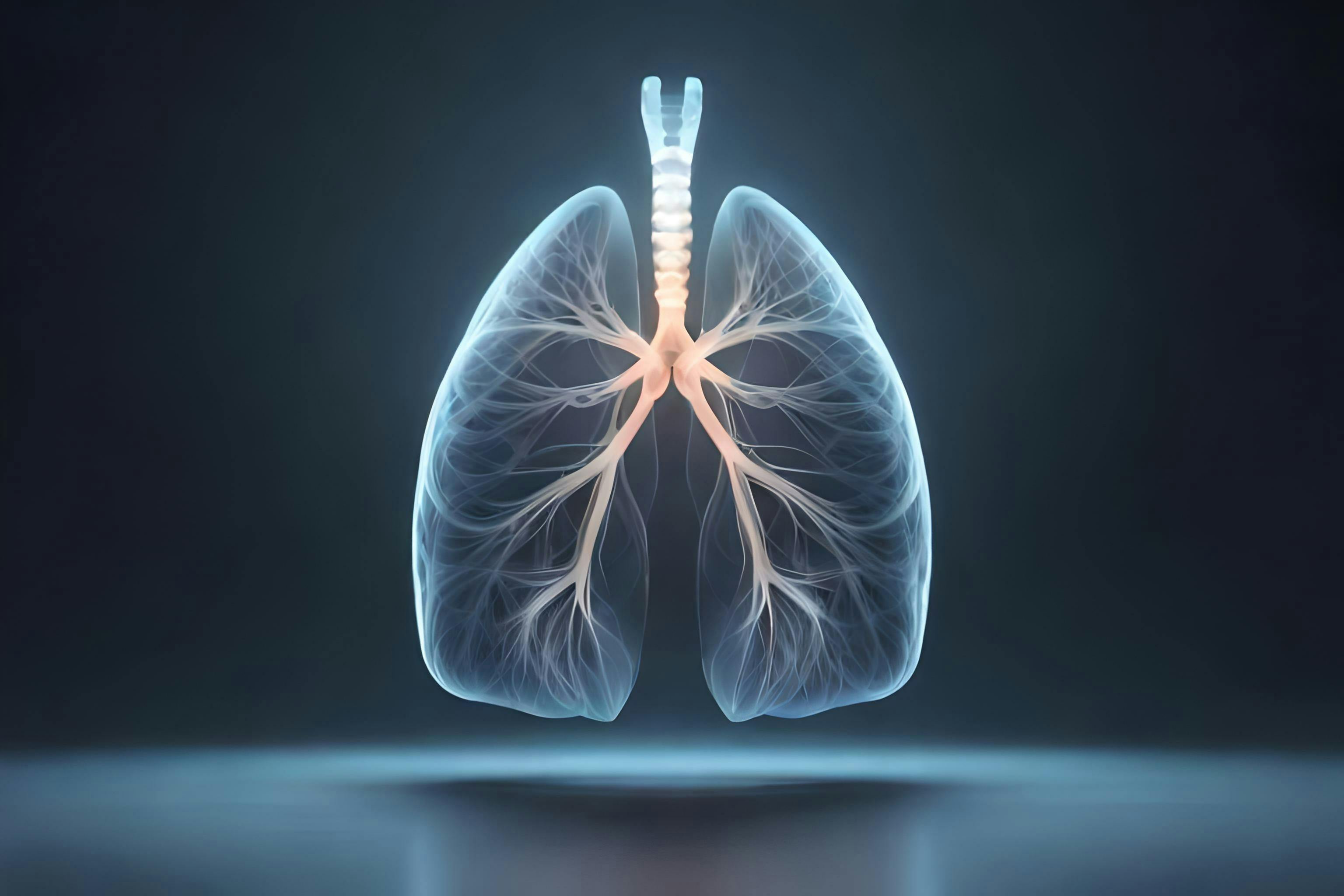 Human anatomy and smoky lungs | Image Credit: © Honey - www.stock.adobe.com