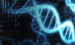New Insights From ENCODE Datasets, NIH Issues Finalized Genomic Data Sharing Policy