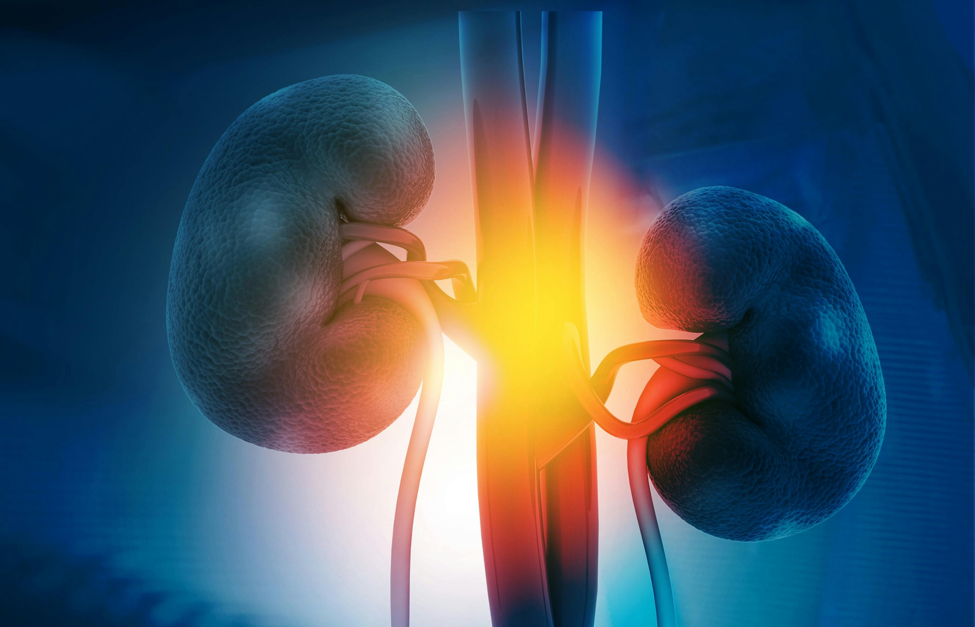 3D rendering of human kidney on science background: © Rasi - stock.adobe.com