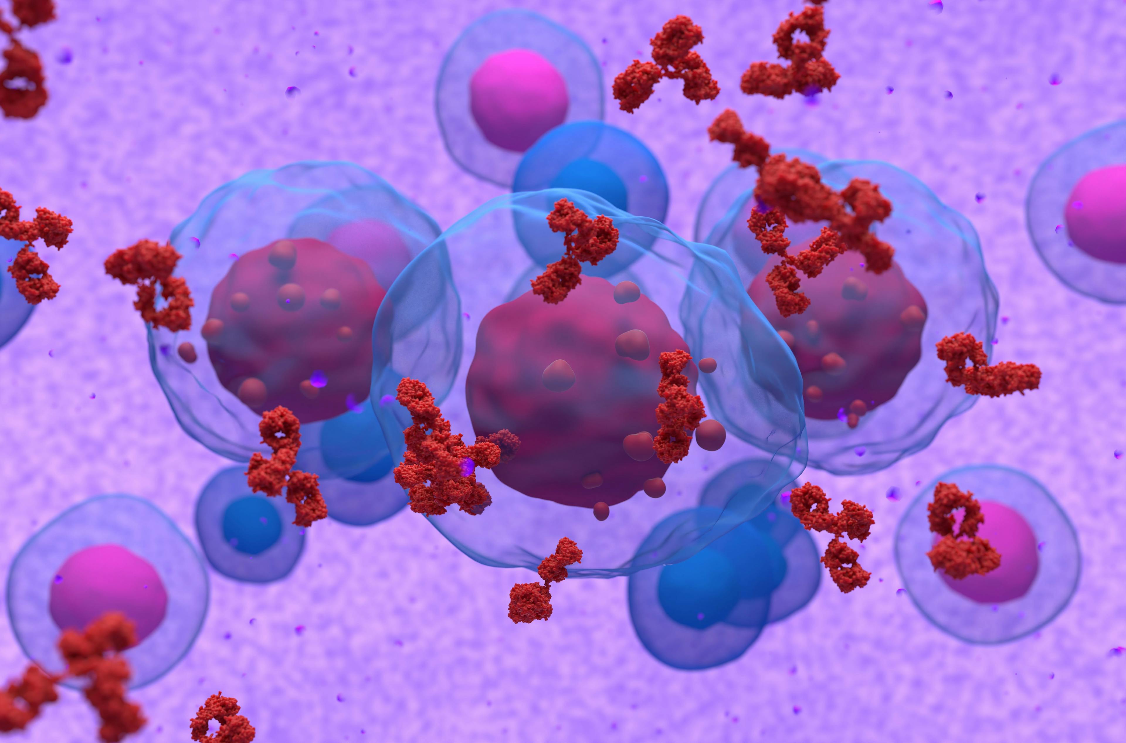 Abnormal plasma cell or b-cell in multiple myeloma emitting paraprotein 3d illustration: ©LASZLO - stock.adobe.com
