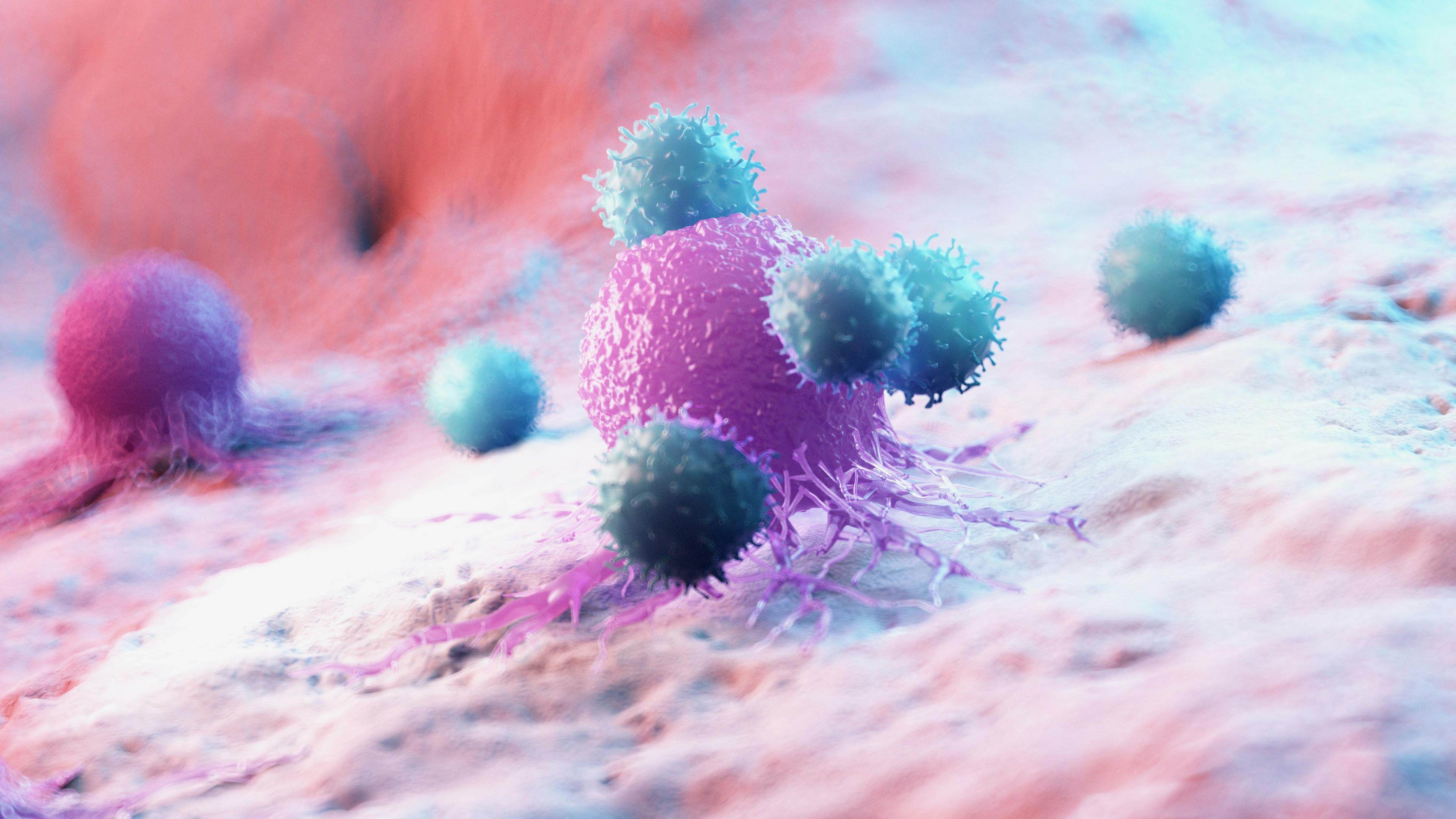 : 3d rendered medically accurate illustration of leukocytes attacking a cancer cell |  stock.adobe.com