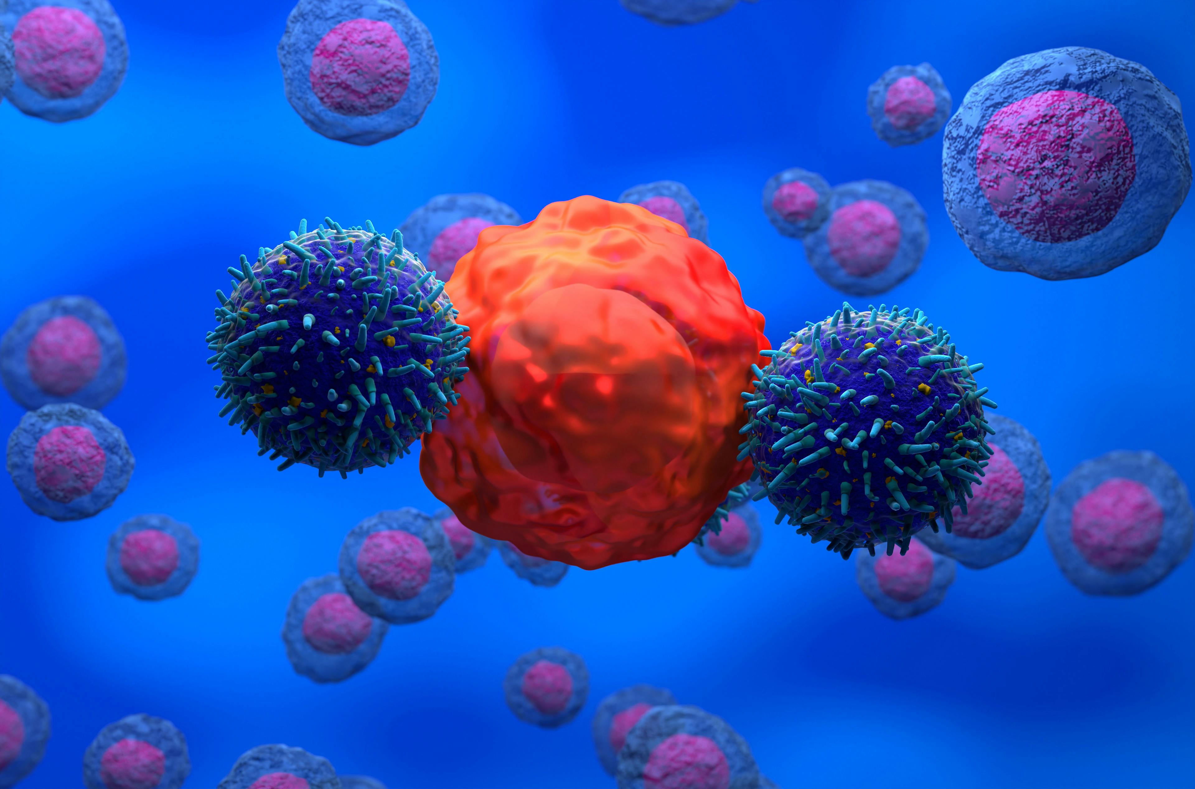 3D rendering of CAR T-cell attacking cancer cells: © LASZLO - stock.adobe.com