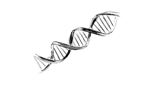 Sketch of DNA strand
