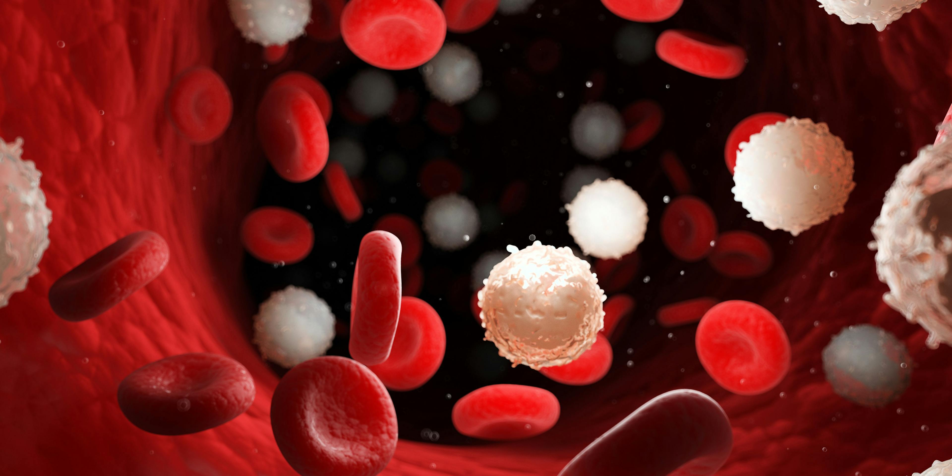 3D rendered medically accurate illustration of leukemia: ©SciePro - stock.adobe.com
