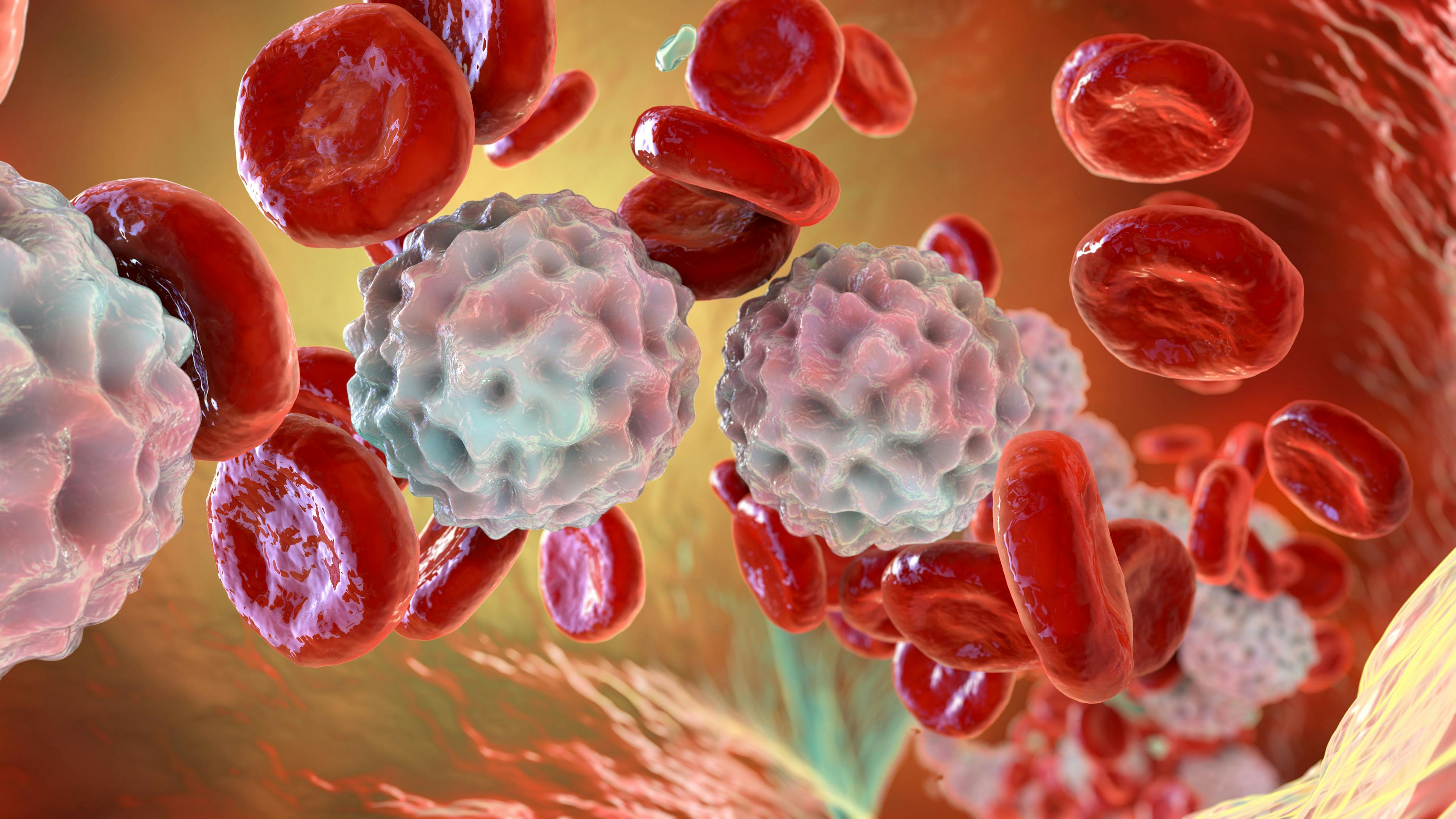 Blood cells: © Dr_Microbe - stock.adobe.com