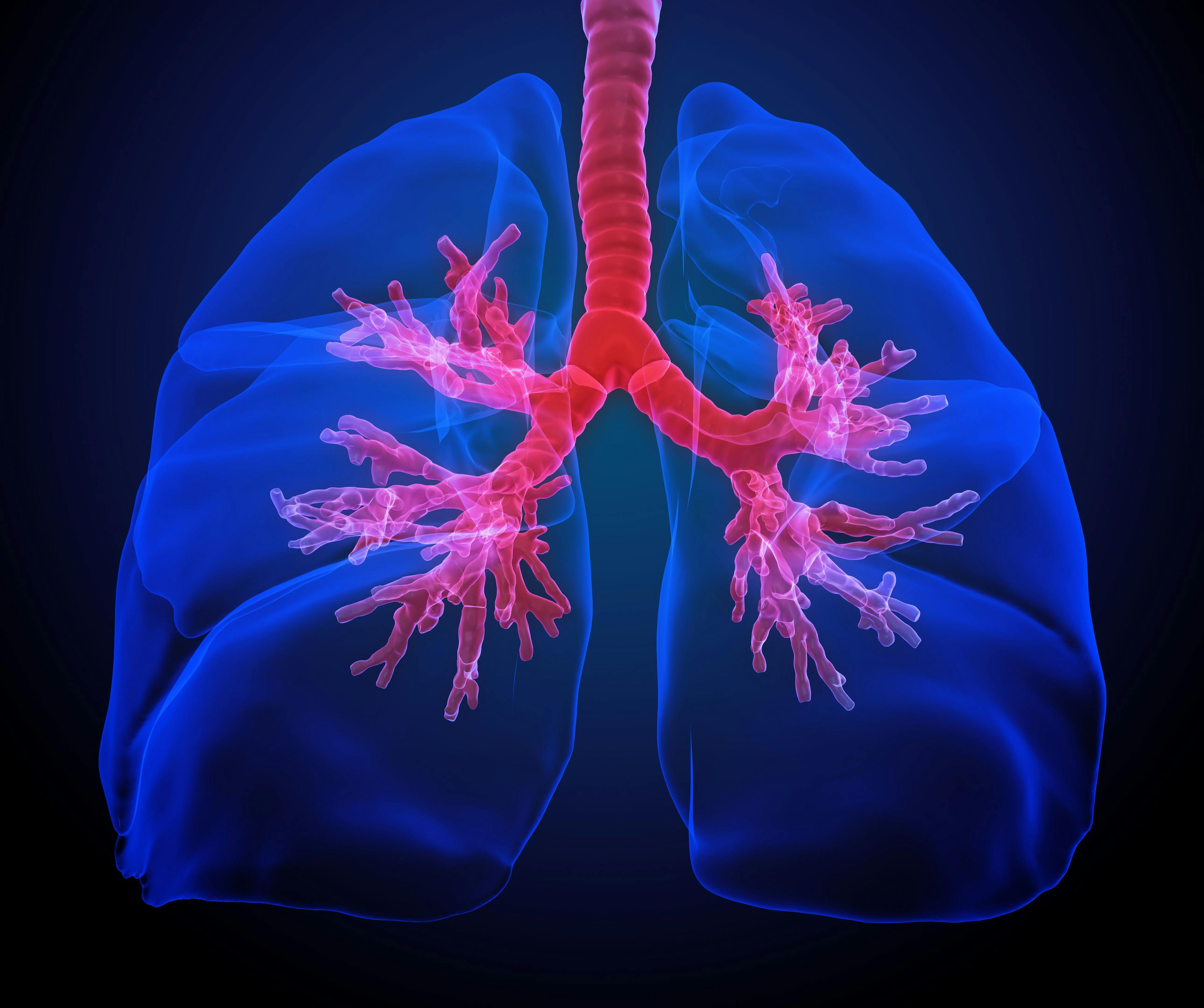 Illustration of human lungs: © Mopic - stock.adobe.com
