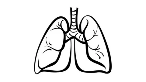 Lurbinectedin Shows Superiority to Topotecan in Small Cell Lung Cancer