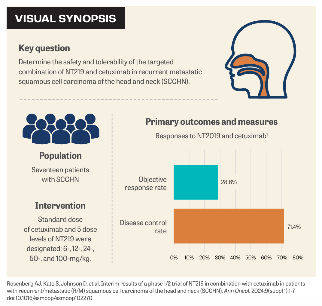   VISUAL SYNOPSIS
