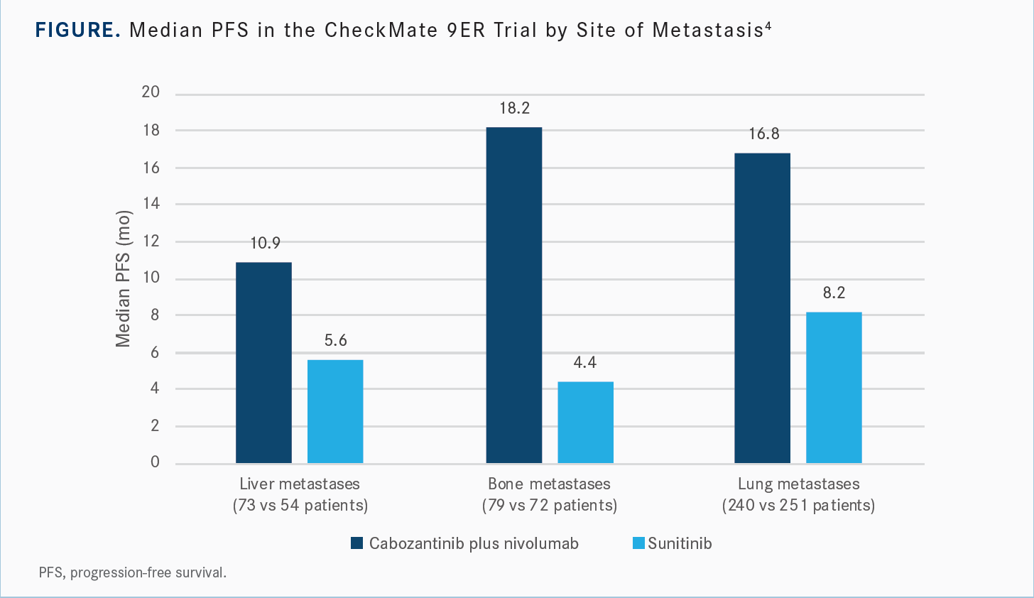 table: CheckMate 9ER by metastasis site