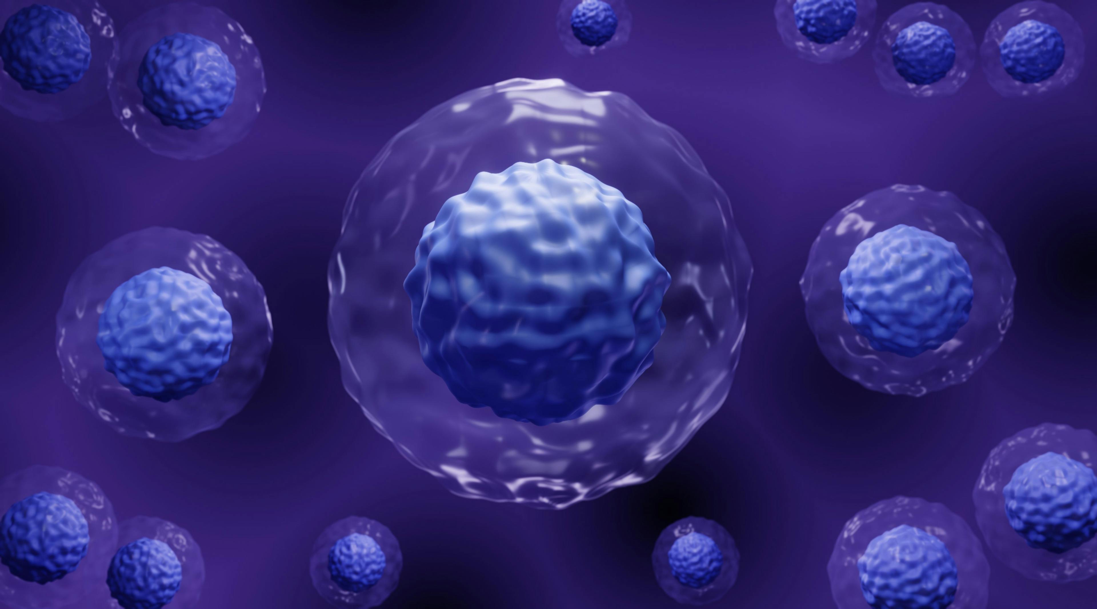 Embryonic stem cells therapy, hematopoietic stem cell transplantation  Image Credit: Artur - www.stock.adobe.com