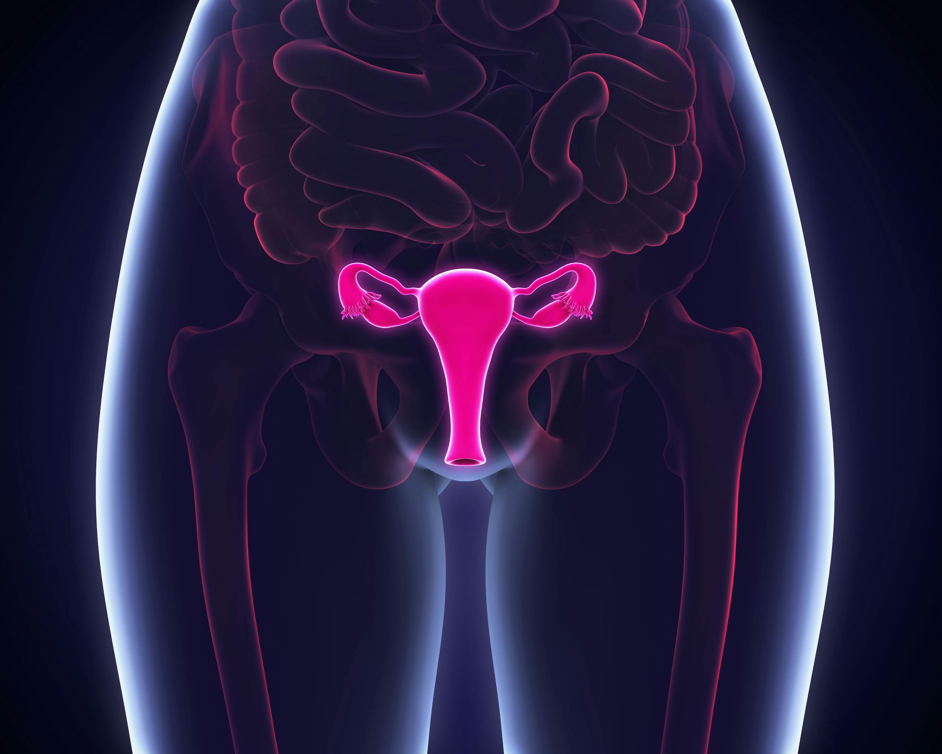 Female reproductive system: ©nerthuz - stock.adobe.com
