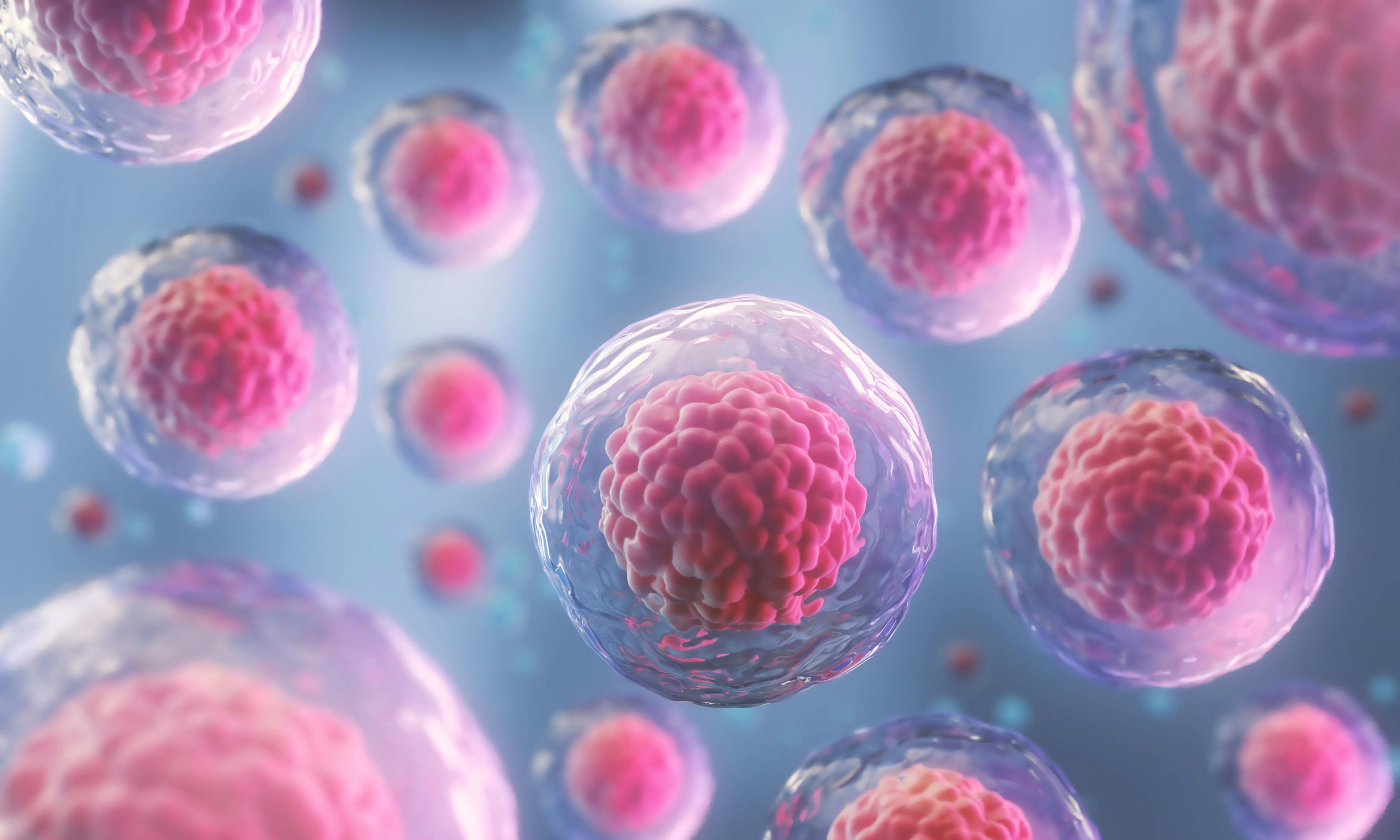 3d rendering of Human cell or Embryonic stem cell microscope background | Image Credit: © Anusorn - stock.adobe.com