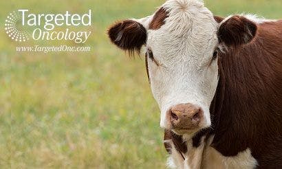 Researchers Find Breast Cancer May Be Connected to Cattle Virus 