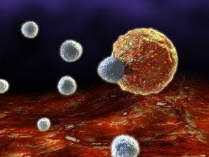 T cell killing a tumor cell