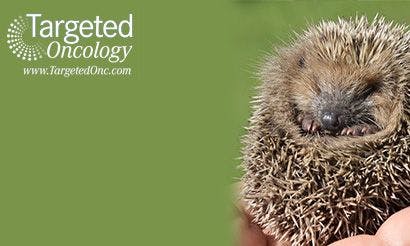 Key to New Treatments: Discovering What Turns a Hedgehog Off