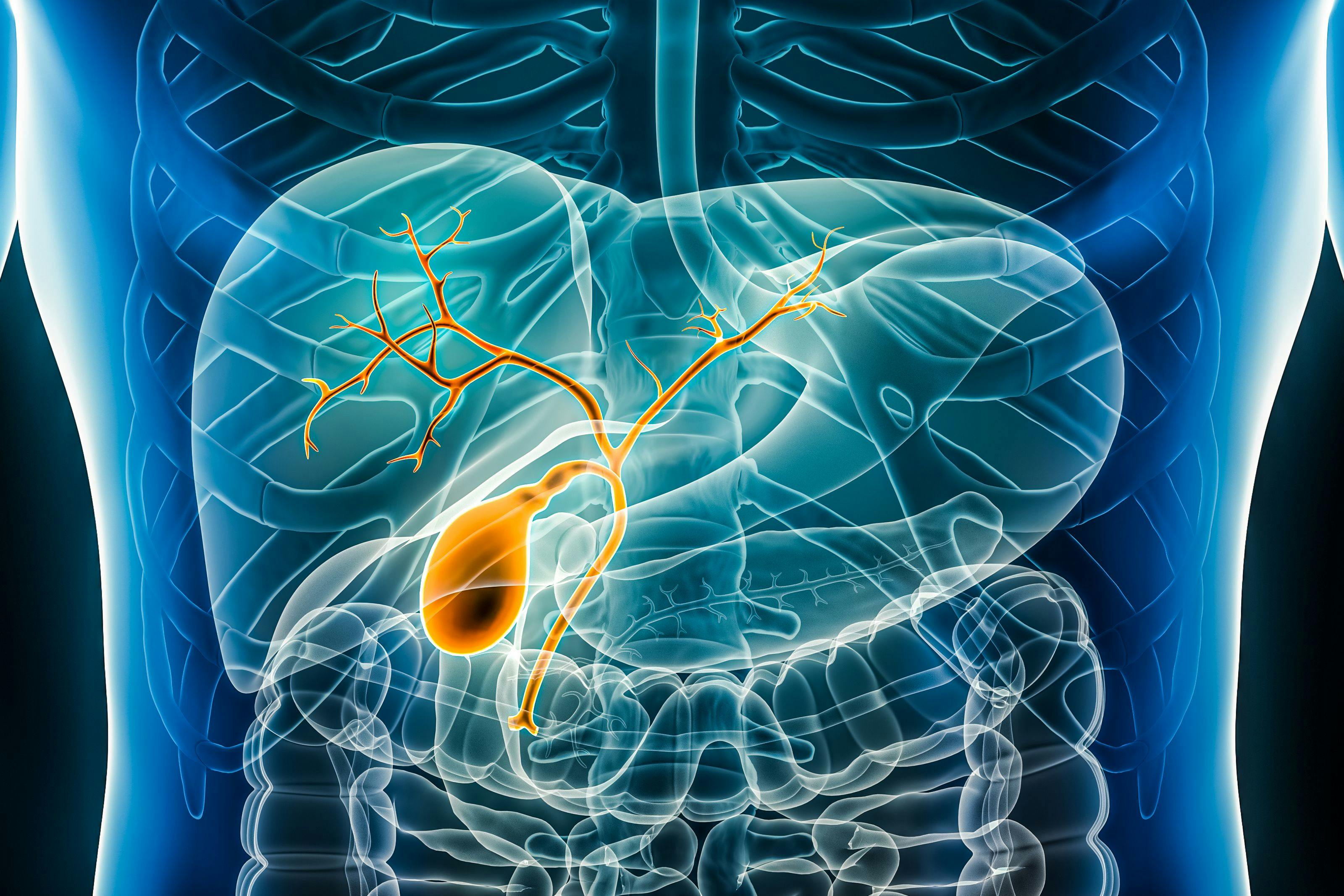 Biliary tract in gi tract | Image Credit: © Matthieu - www.stock.adobe.com