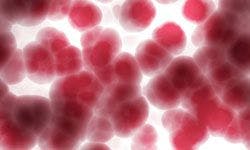 New Drug Application Filed for Ibrutinib in Chronic Lymphocytic Leukemia and Mantle Cell Lymphoma
