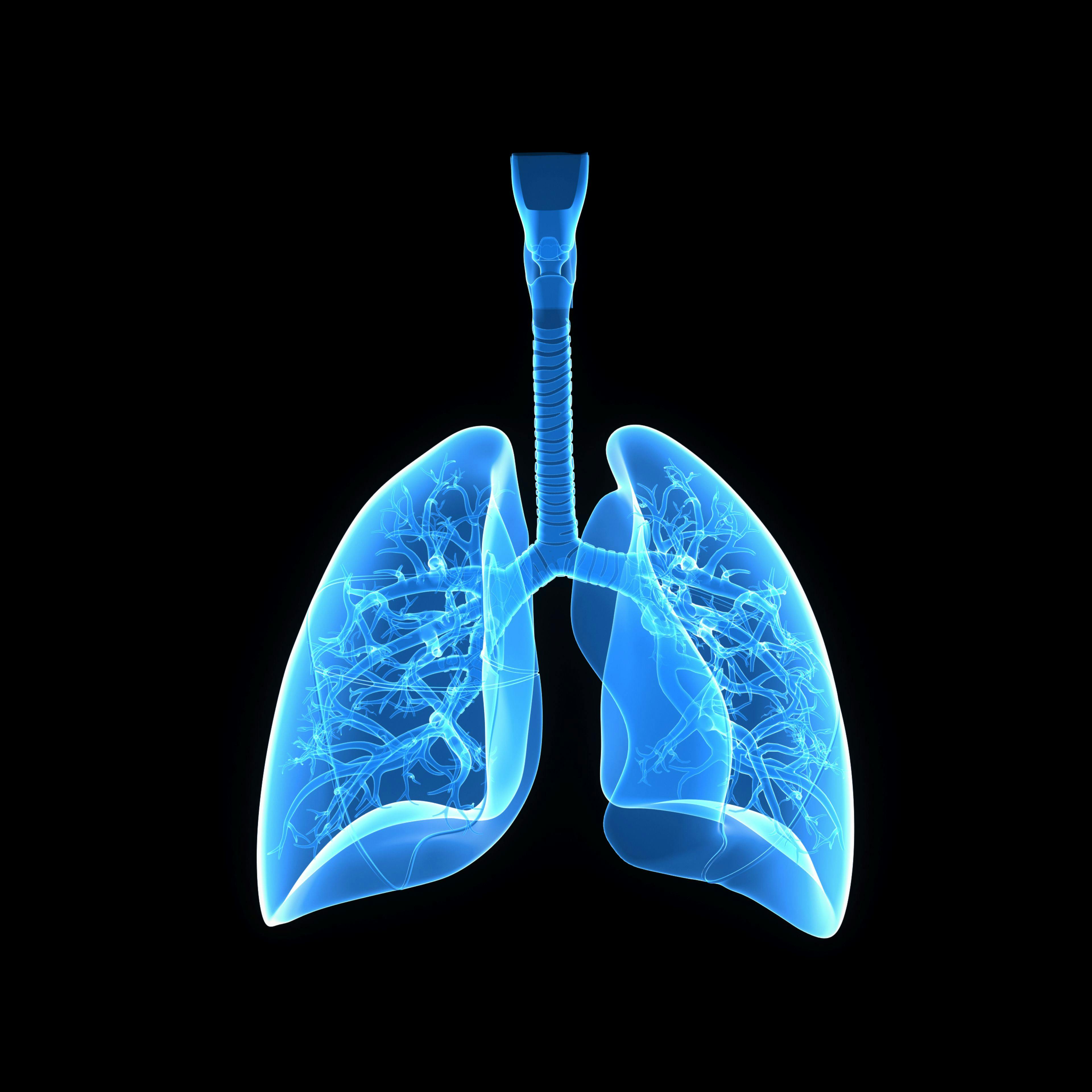 Lungs anterior view: © 7activestudio - stock.adobe.com