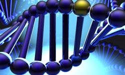 Tumor Mutational Analysis Using Urinary Cell-Free DNA