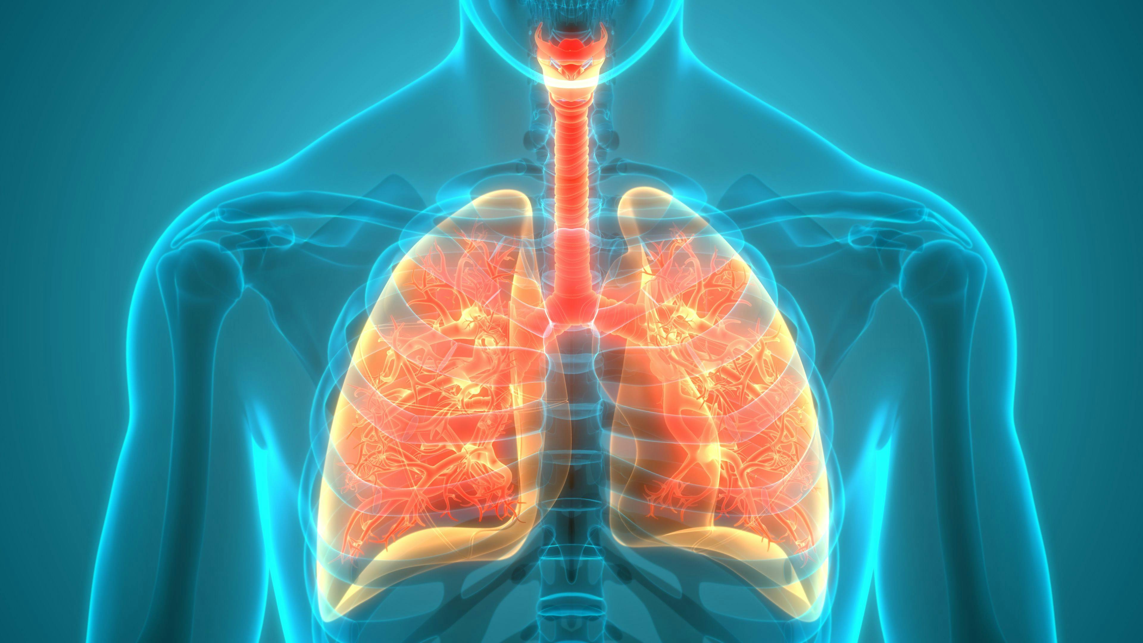 EGFR lung cancer