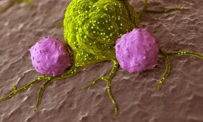 Major Programs Under Way in Immuno-Oncology