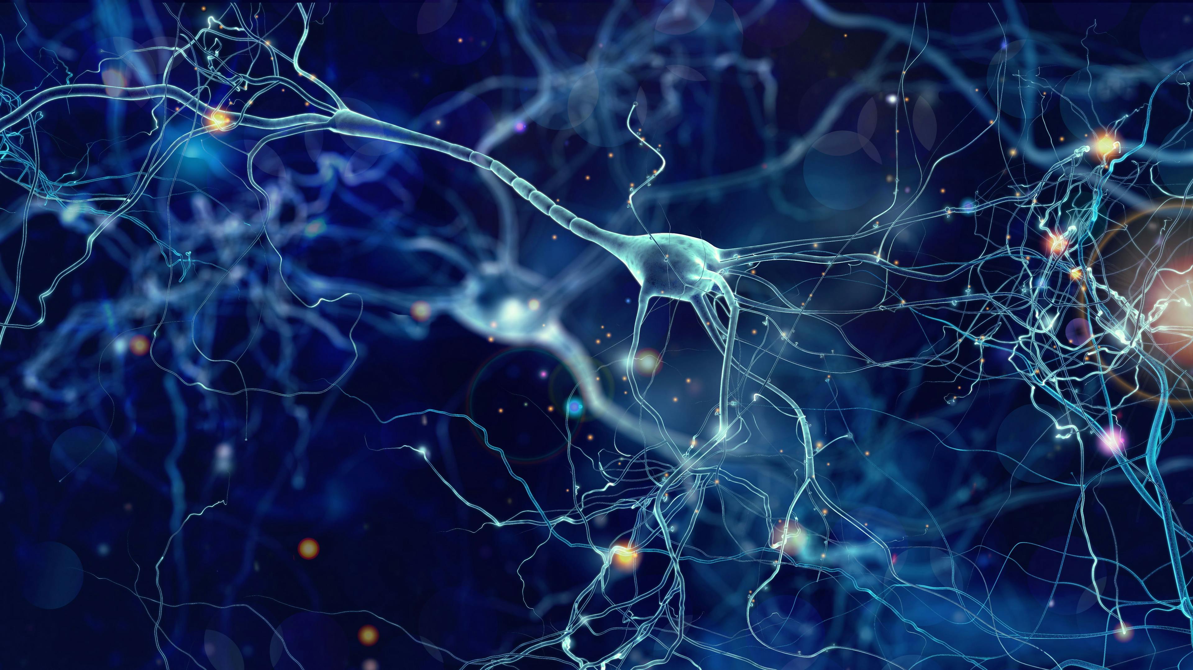 Neurons cells concept | Image Credit: whitehoune - www.stock.adobe.com 