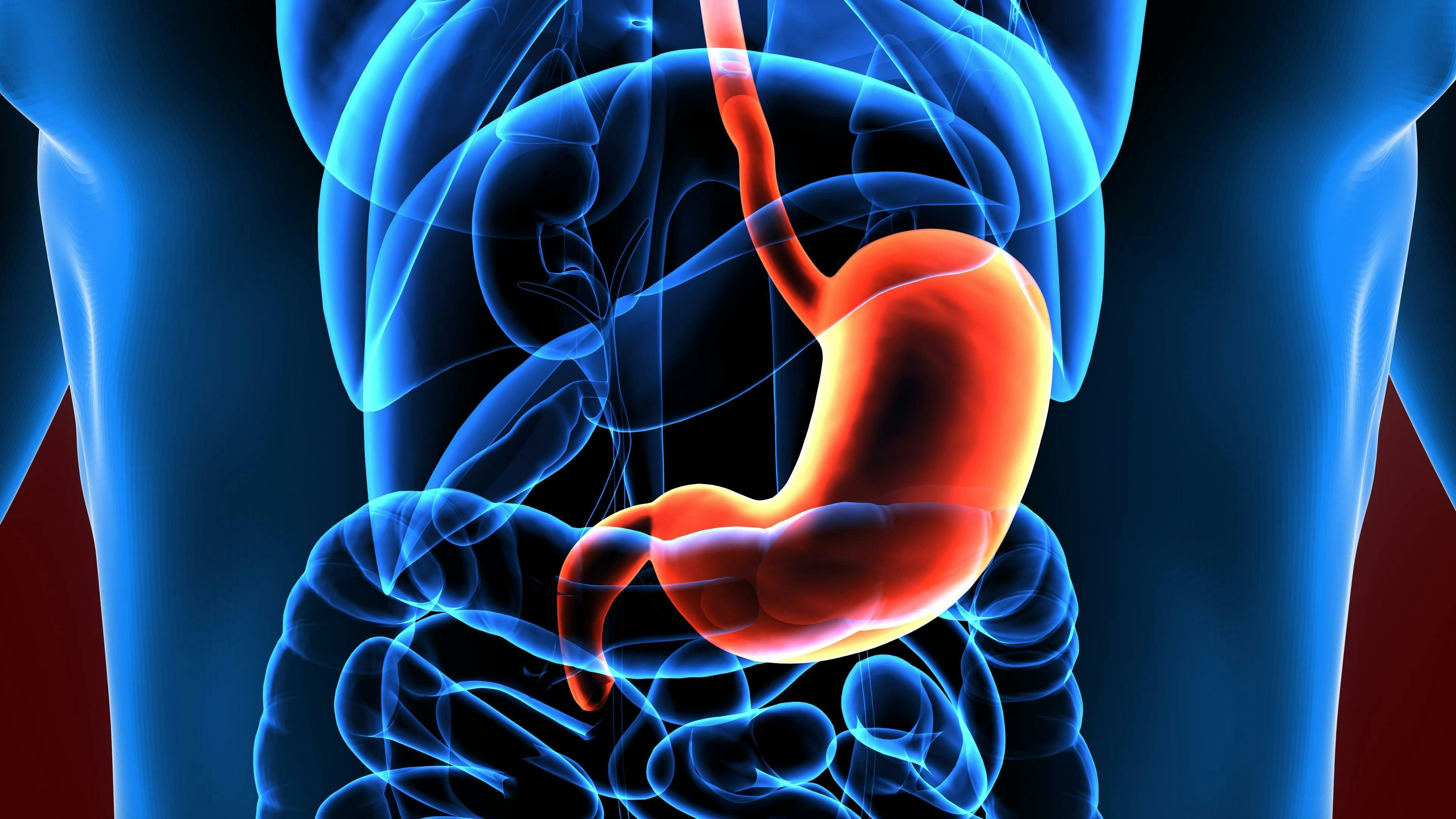 3d illustration human body stomach: © pic4u - stock.adobe.com