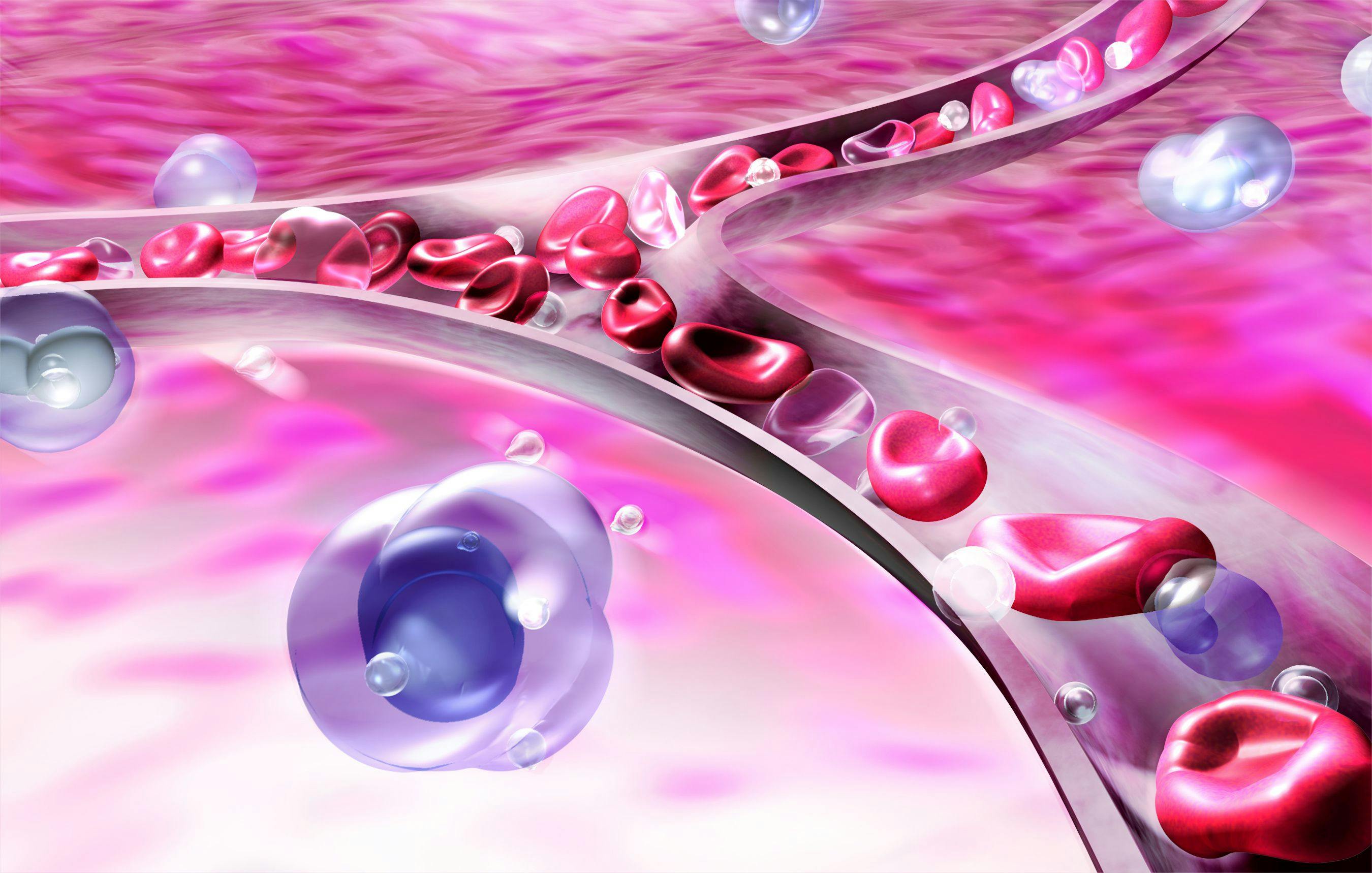 Image Credit: © PepeGallardo - www.stock.adobe.com | 3d illustration of the anatomy of a vein or artery and blood circulation. On organic background with moving blood cells and platelets.