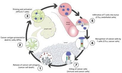 Tumor Antigens and Their Role in Immune Response in Melanoma