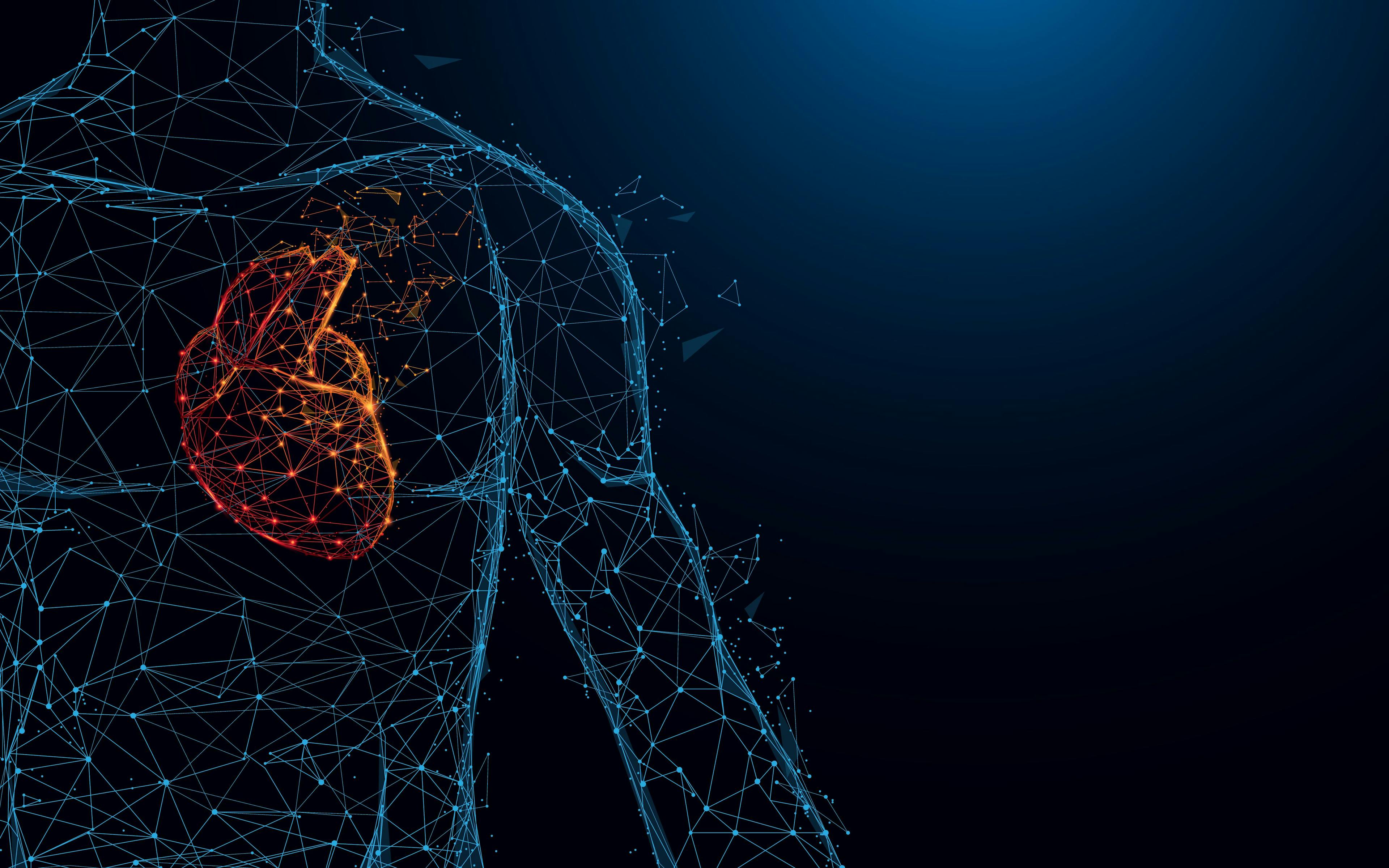 Human heart anatomy form lines and triangles, point connecting network on blue background. Illustration vector: © pickup - stock.adobe.com


