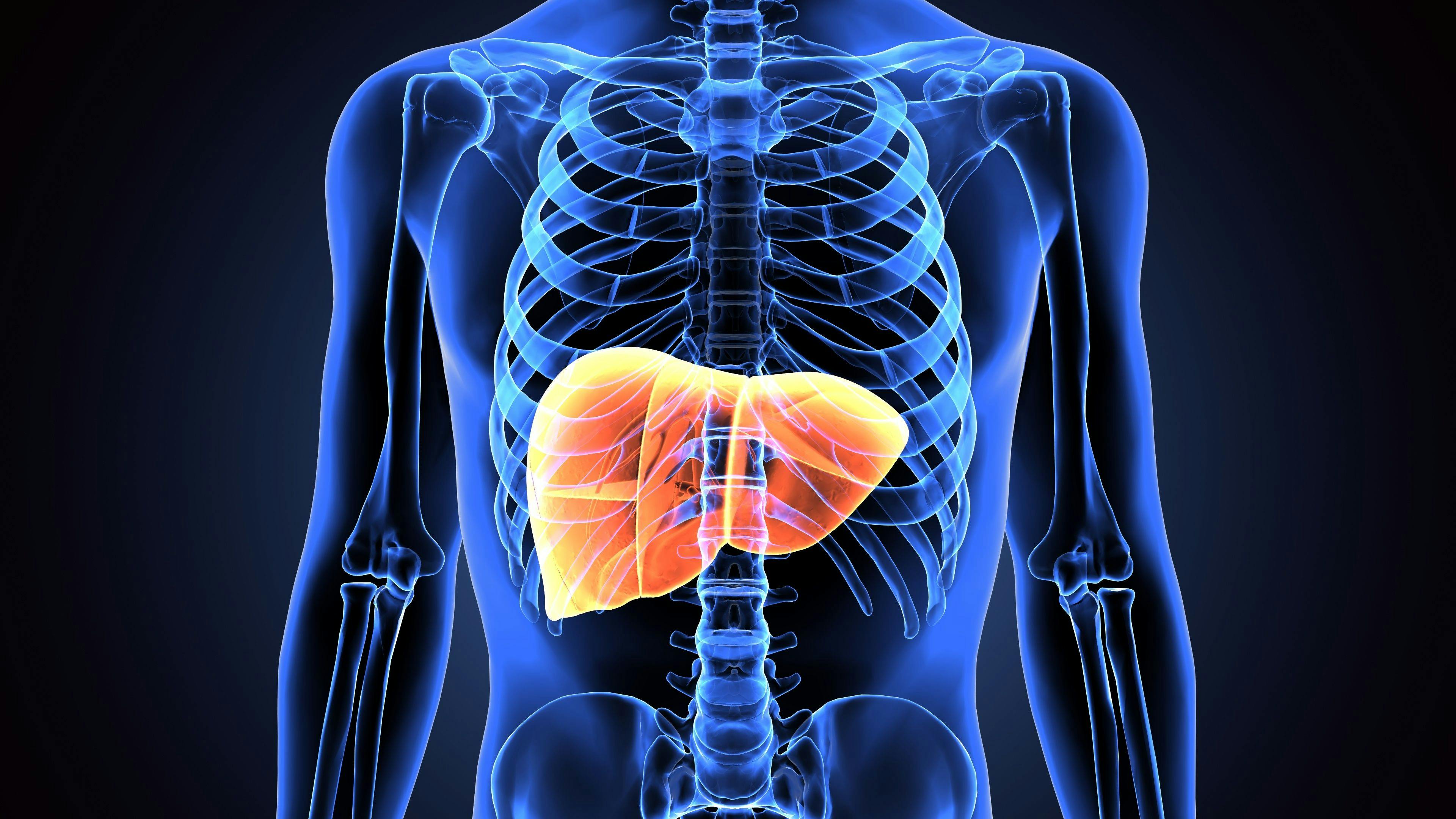 3d illustration of human body liver: © PIC4U - stock.adobe.com