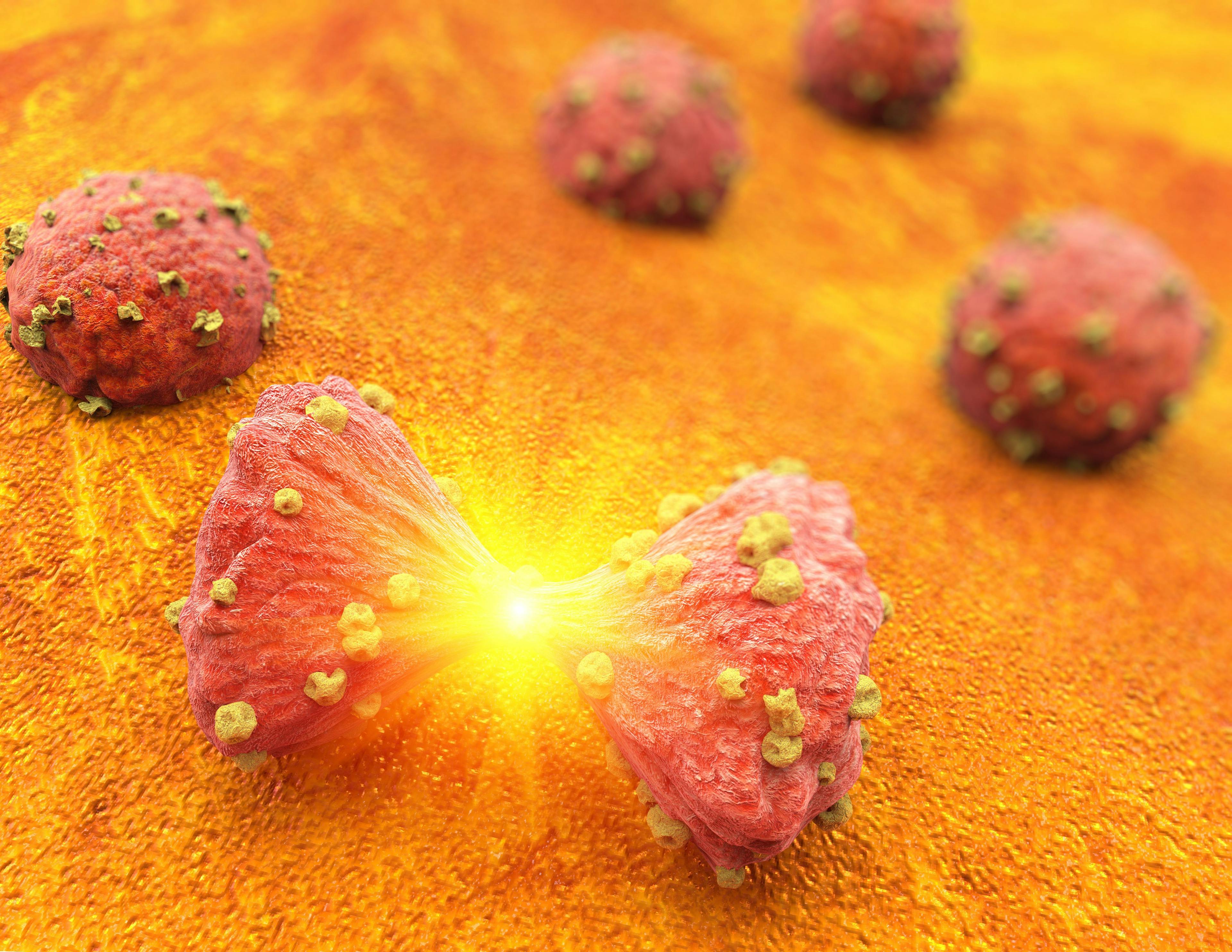 tumor cell in the moment that divides | Image Credit: © Giovanni Cancemi - www.stock.adobe.com