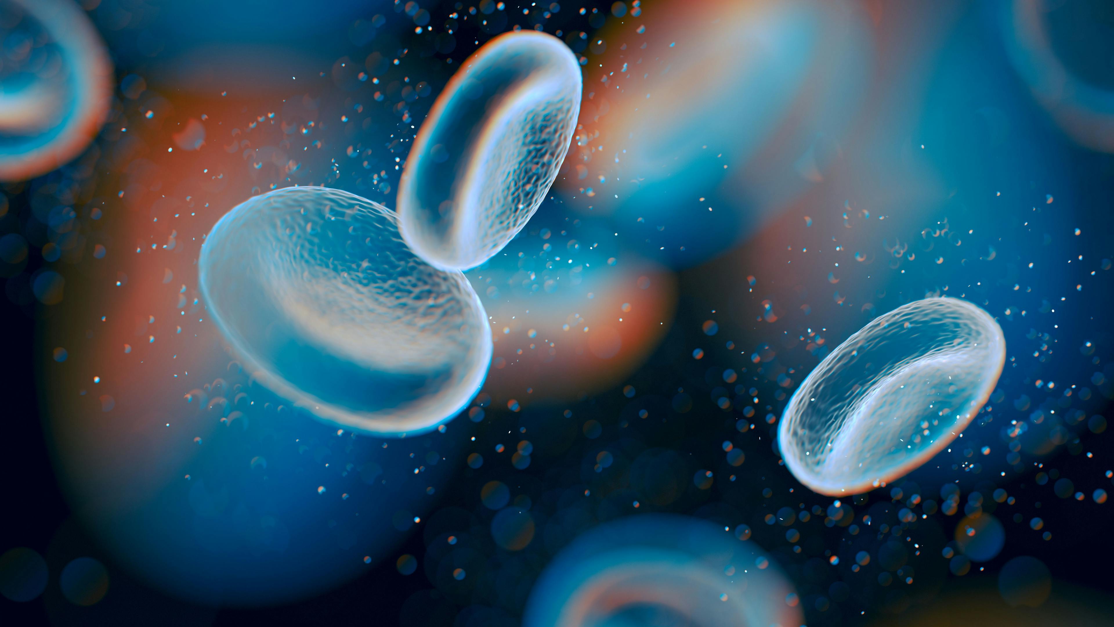 3D illustration of blood cells: ©pinkeyes - stock.adobe.com