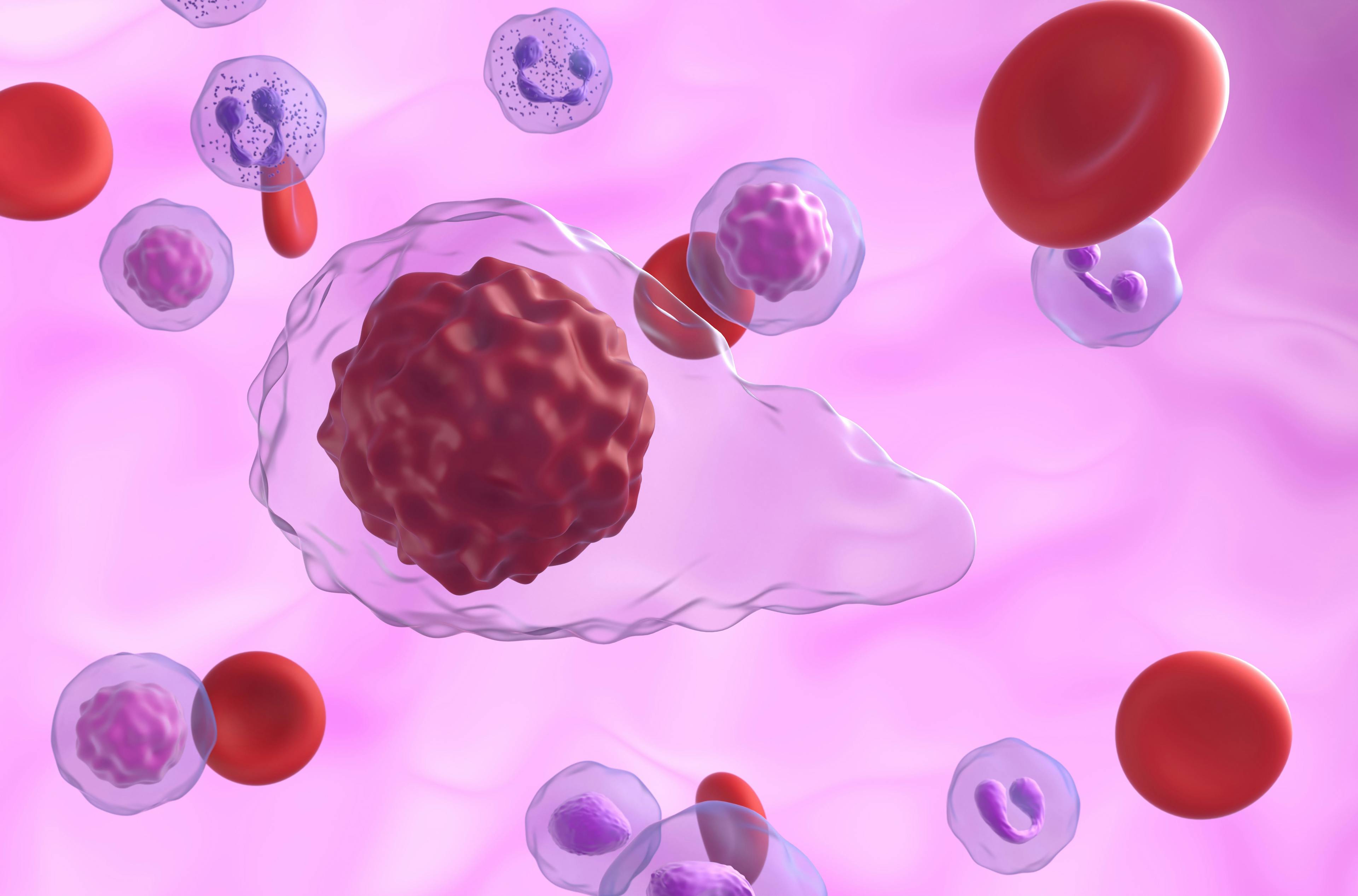 Primary myelofibrosis (PMF) cells in blood flow - closeup view 3D illustration: © LASZLO - stock.adobe.com
