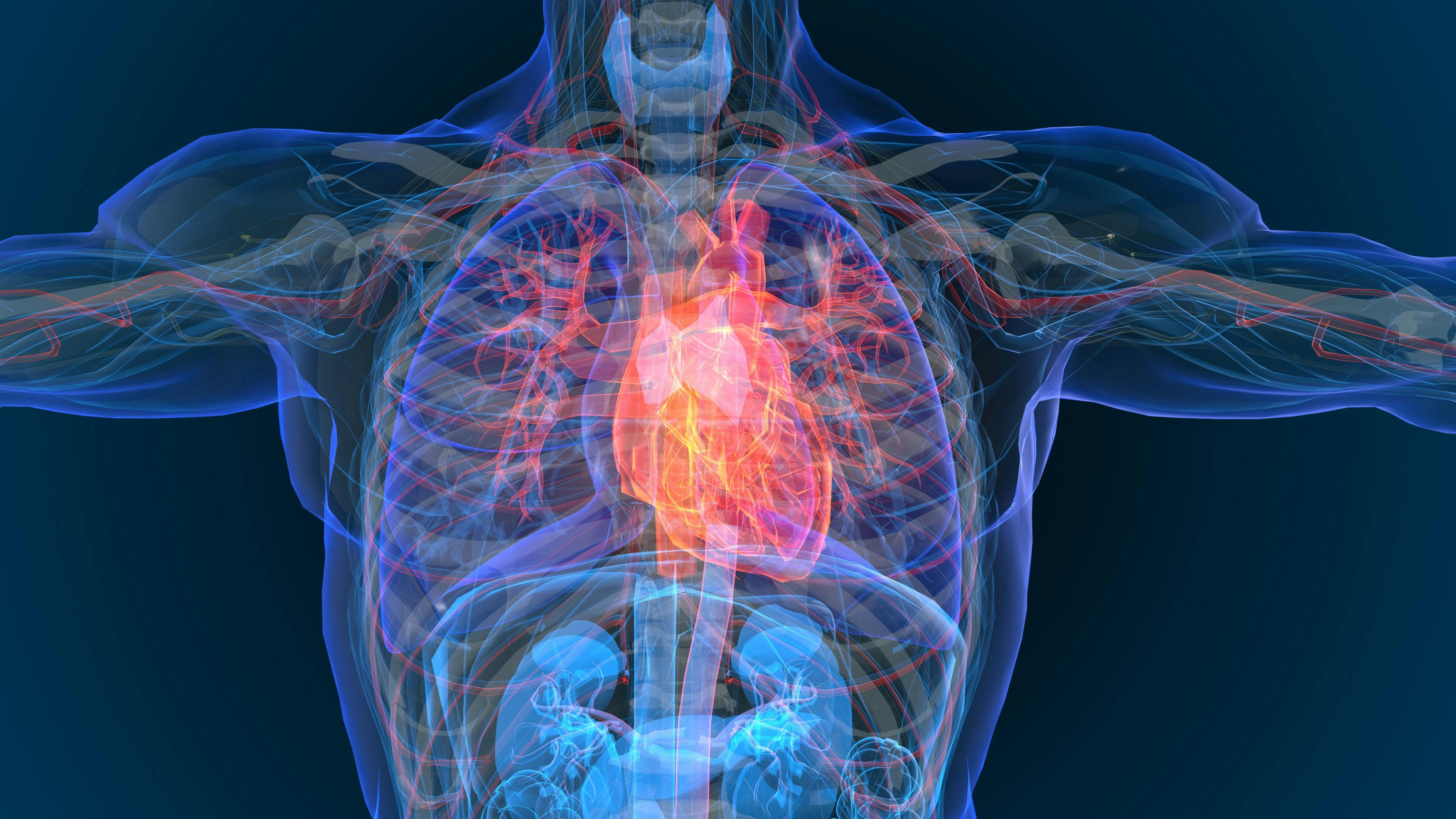 3d rendered illustration of heart attack and heart disease 3D illustration: © appledesign - stock.adobe.com


