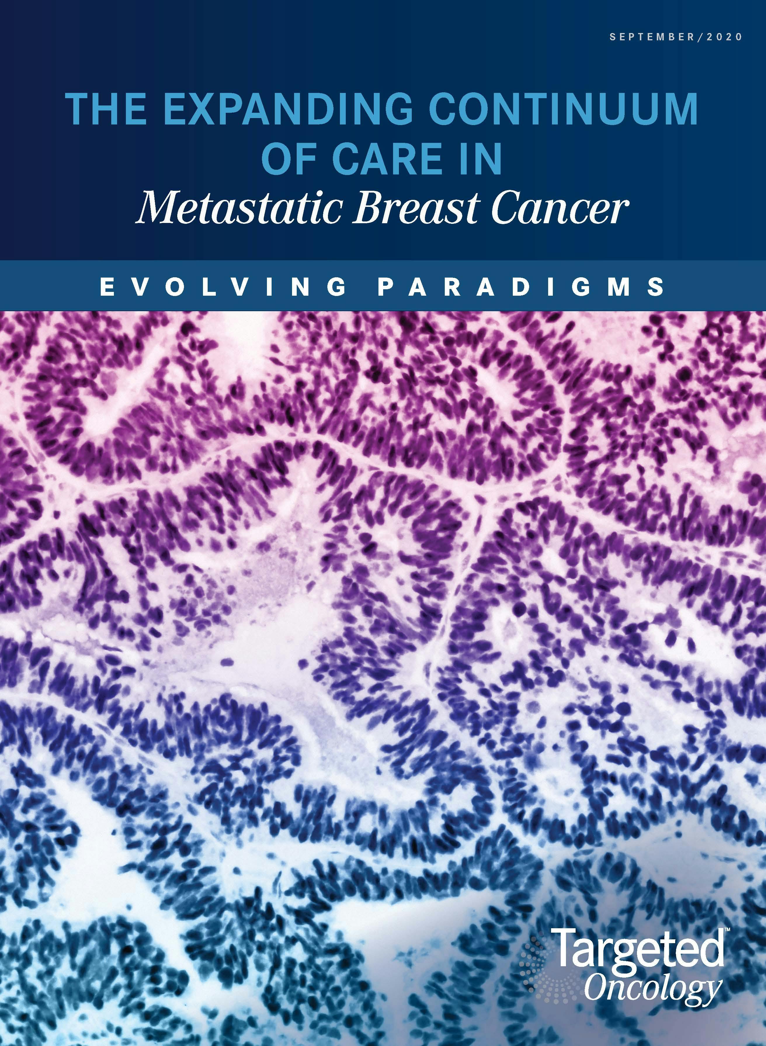 The Expanding Continuum of Care in Metastatic Breast Cancer