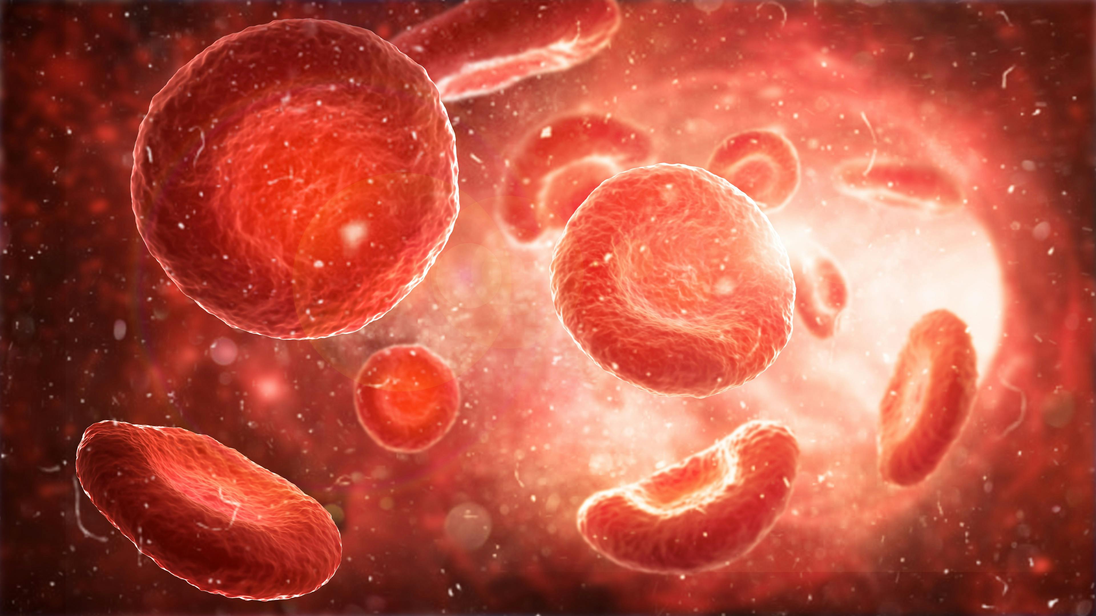 Red blood cells: © vipman4 - stock.adobe.com