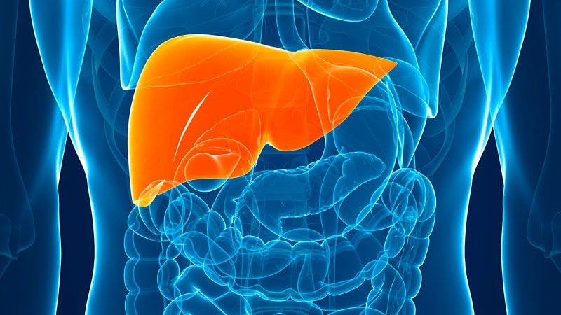 3D illustration of human liver: ©PIC4U - stock.adobe.com