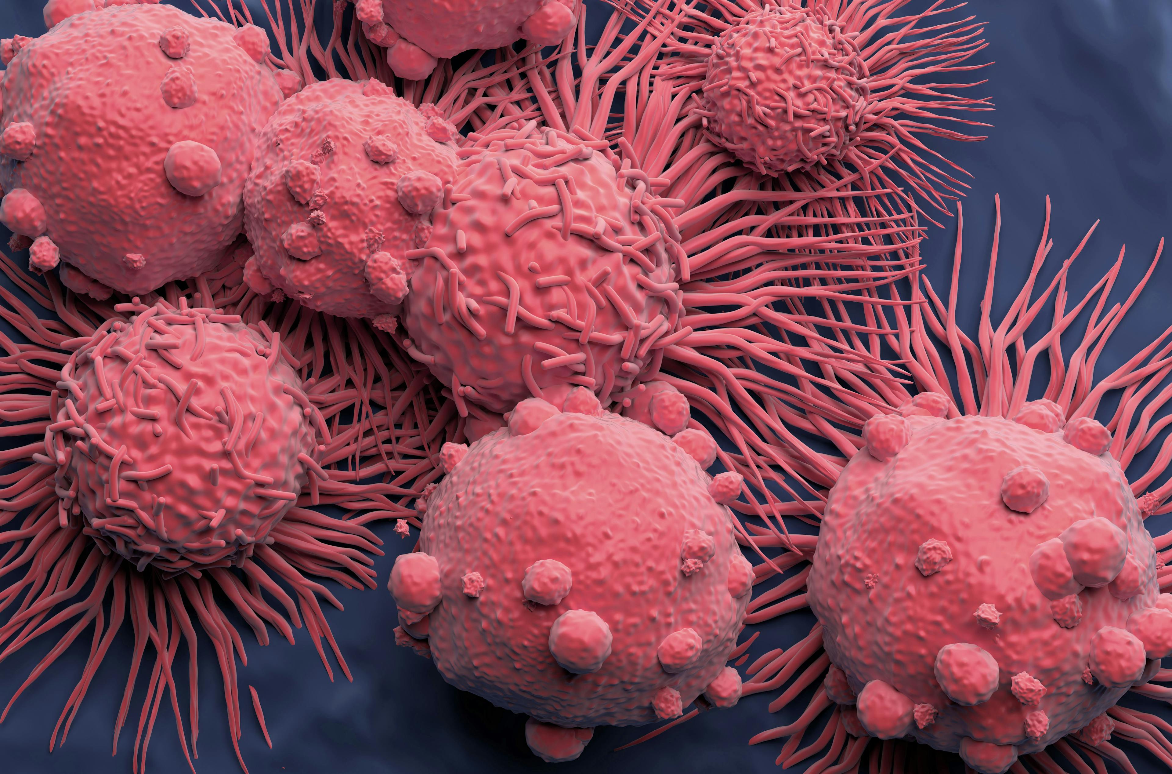 Carcinoma cells field in kidney cancer © LASZLO [stock.adobe.com]