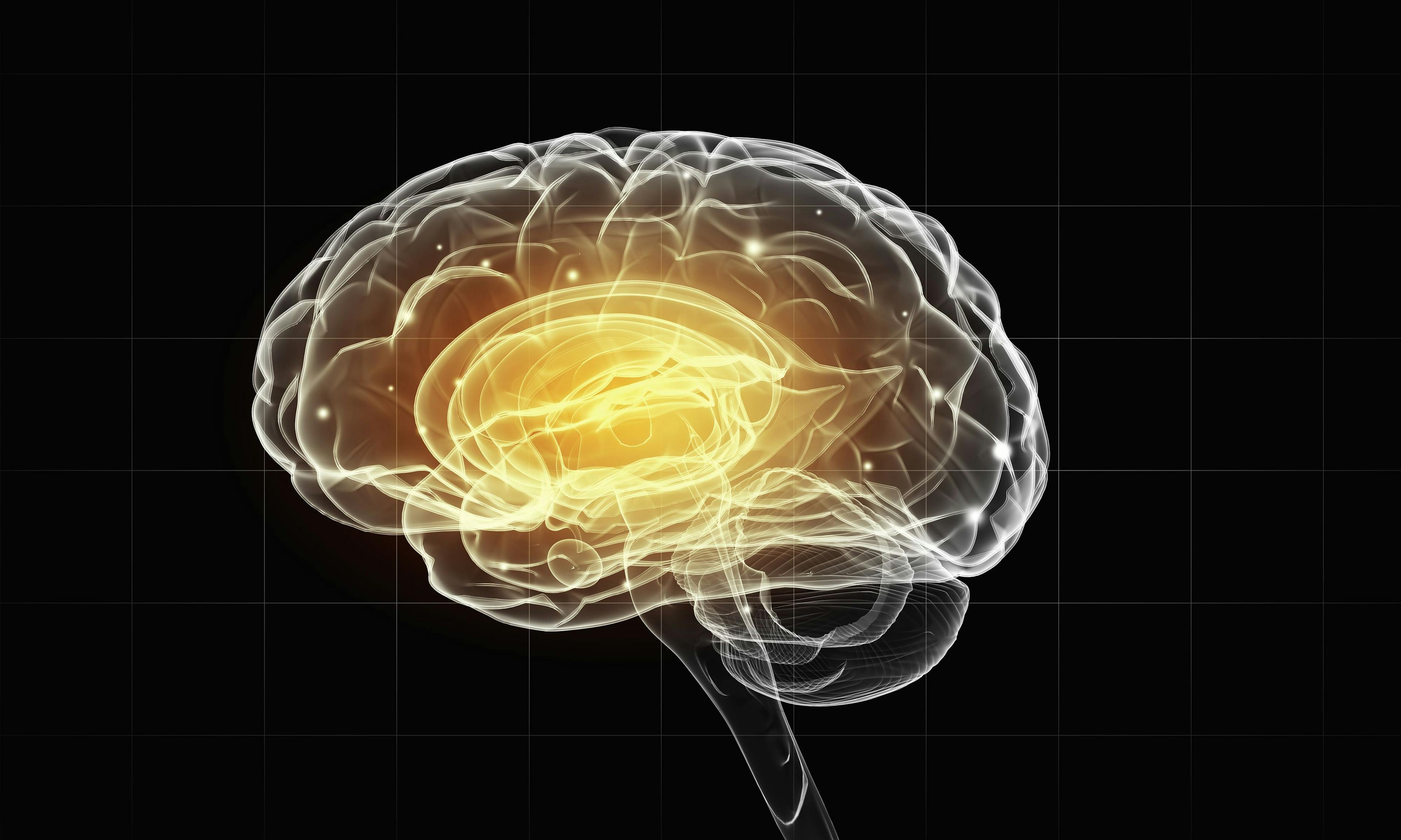 Human brain © Sergey Nivens - stock.adobe.com